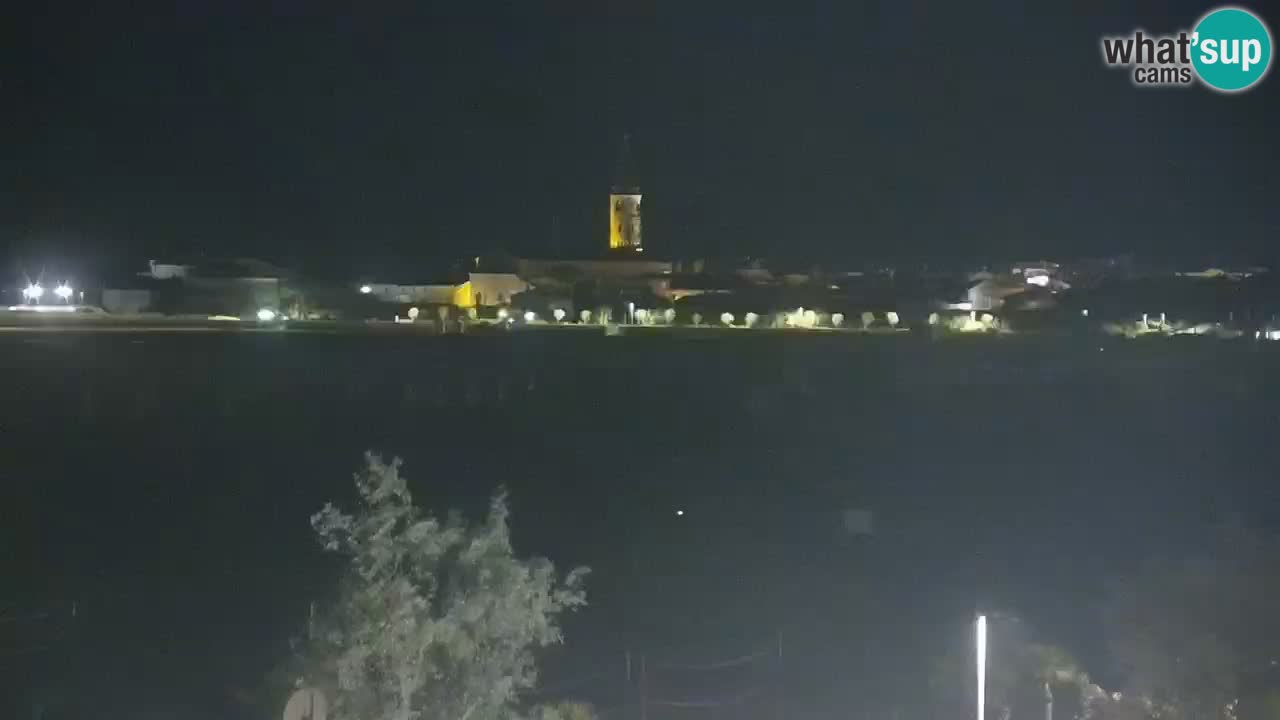 Caorle Playa Levante Camera web – Hotel Alexander