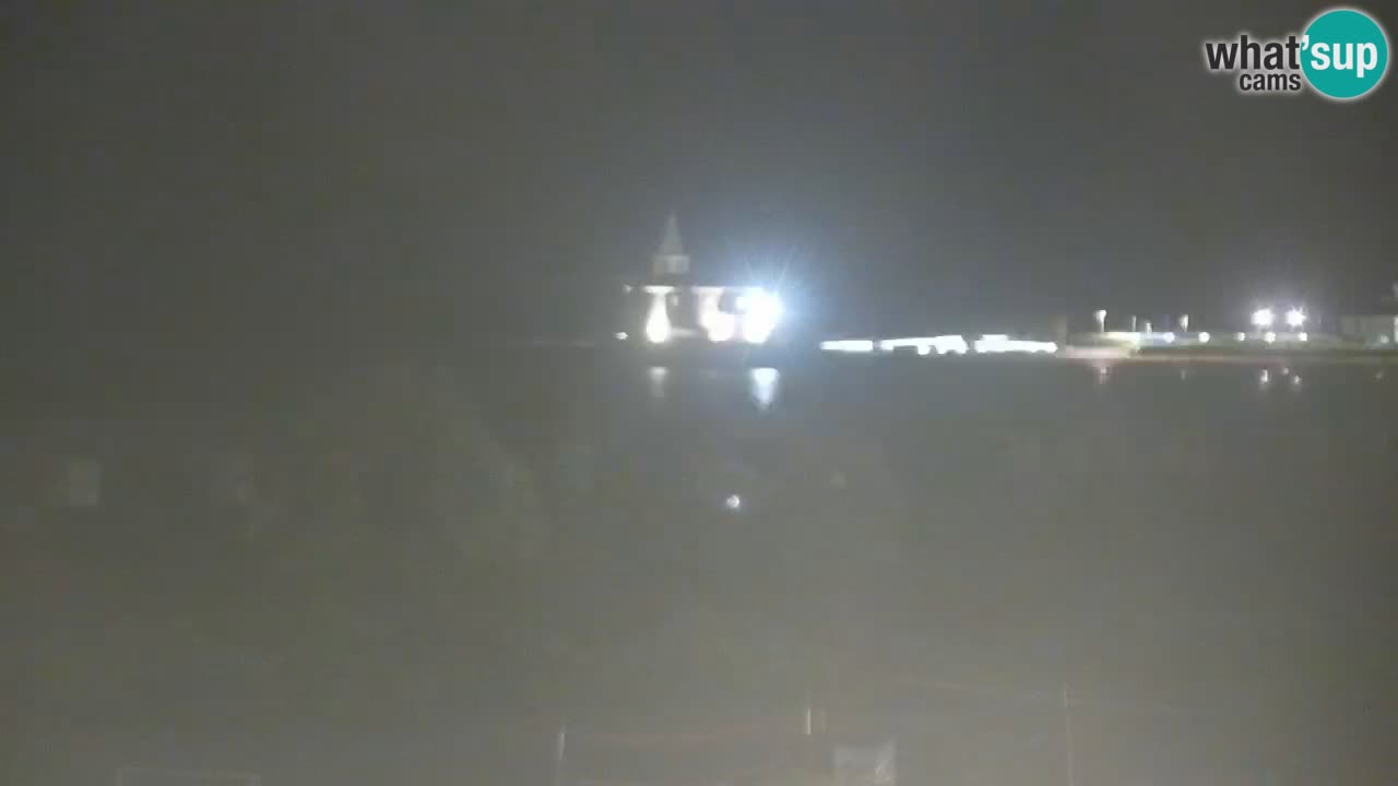 Webcam spiaggia Levante – Hotel Alexander Caorle