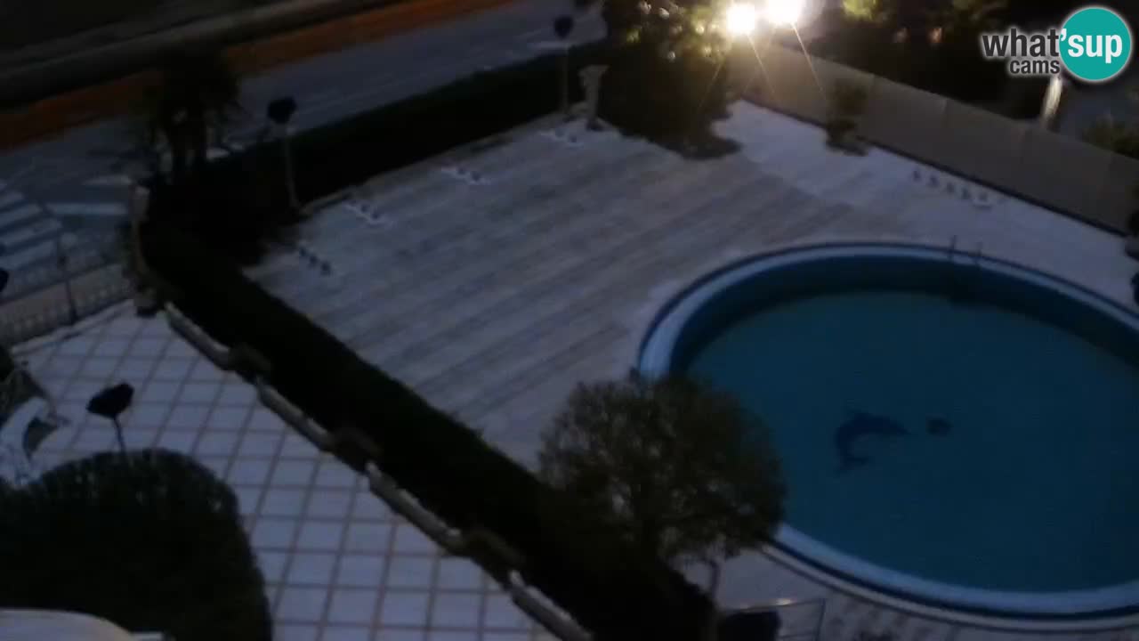 Caorle Oststrand webcam – Hotel Alexander – Levante