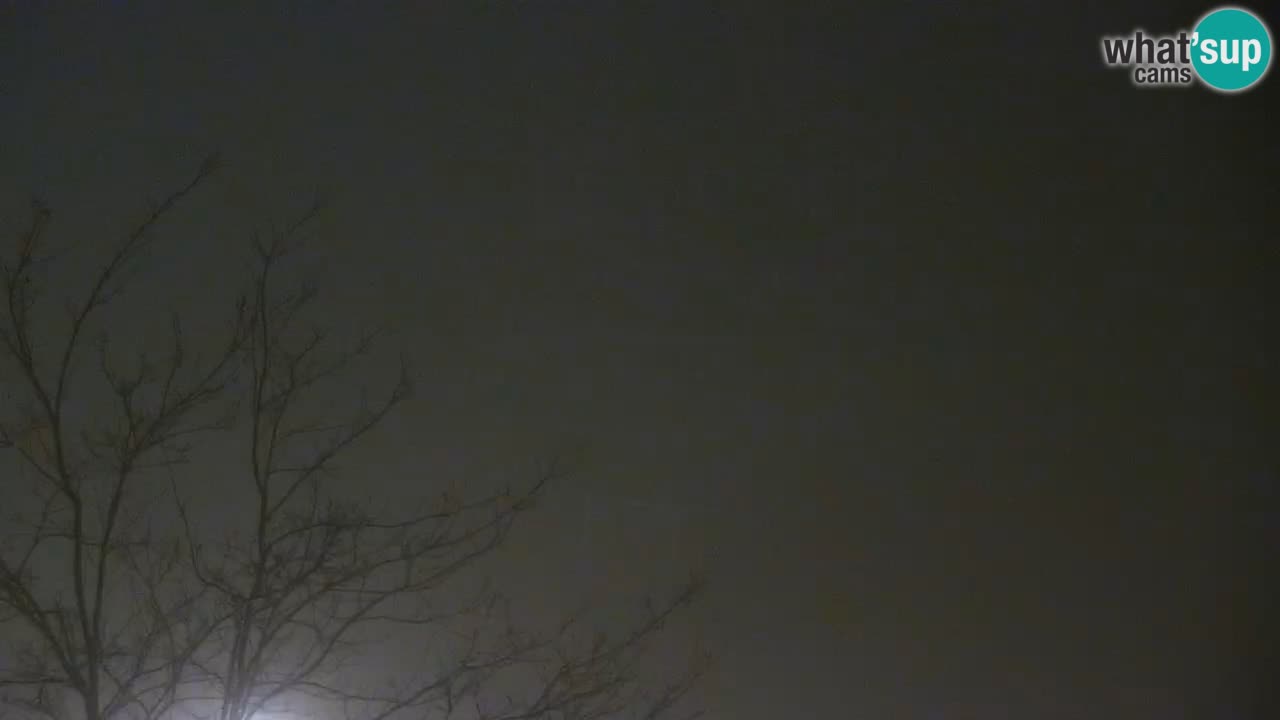 Caorle Oststrand webcam – Hotel Alexander – Levante