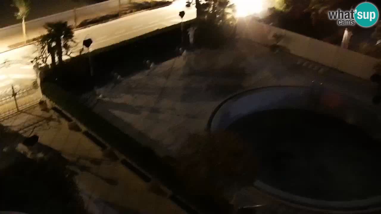 Plaža Levante web kamera Caorle – Hotel Alexander