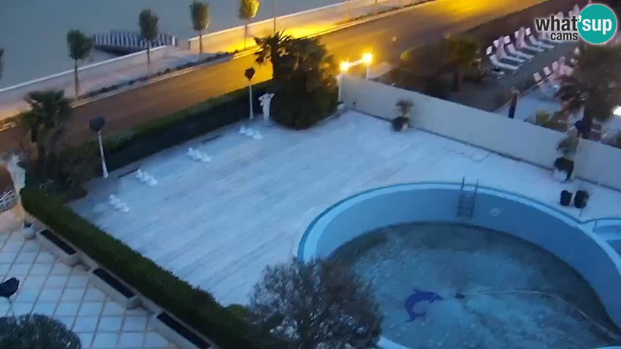 Webcam spiaggia Levante – Hotel Alexander Caorle