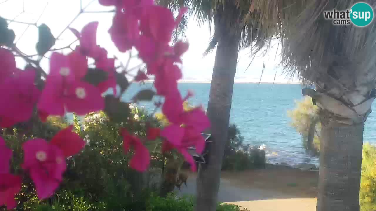 Web kamera uživo Capoterra – plaža La Maddalena – Sardinija – Italija