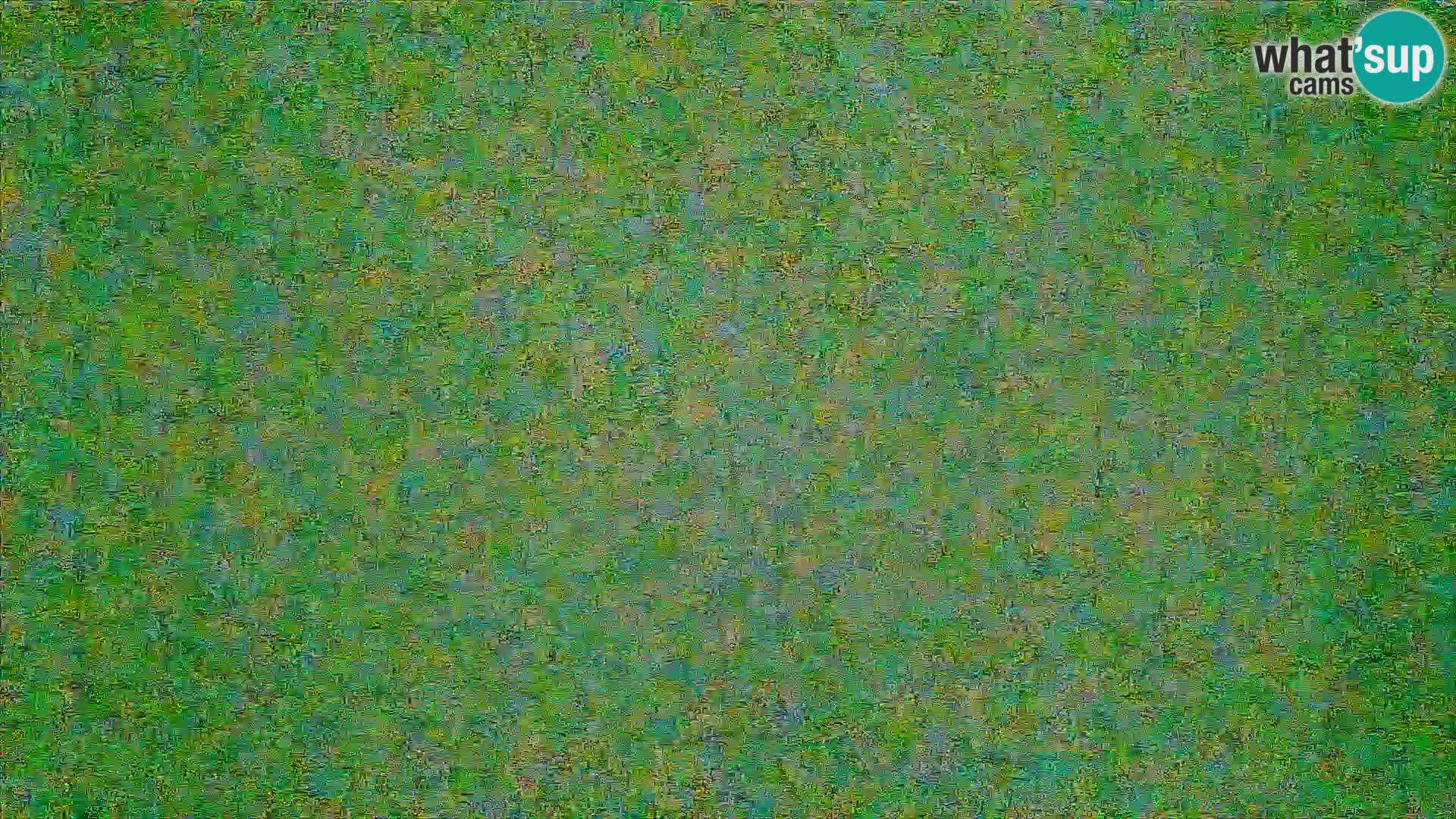 Val Settimana – Rifugio la Pussa