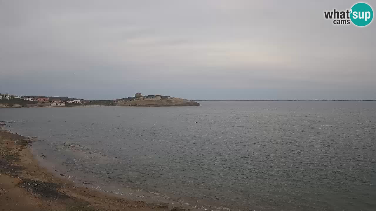 Sarchittu Webcam: Live Views of Stunning Beaches in Sardinia, Italy