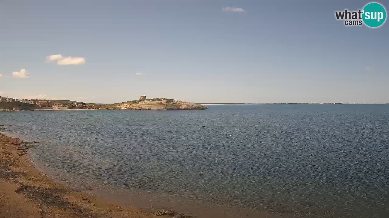 Webcam di Sarchittu: vista in tempo reale delle bellissime spiagge della Sardegna