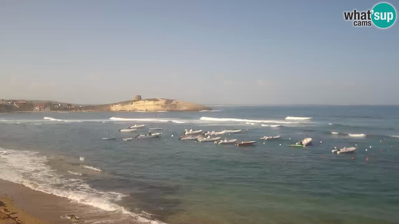 Webcam di Sarchittu: vista in tempo reale delle bellissime spiagge della Sardegna