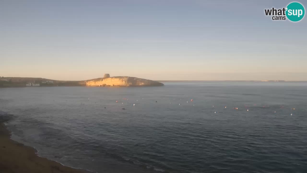 Webcam di Sarchittu: vista in tempo reale delle bellissime spiagge della Sardegna