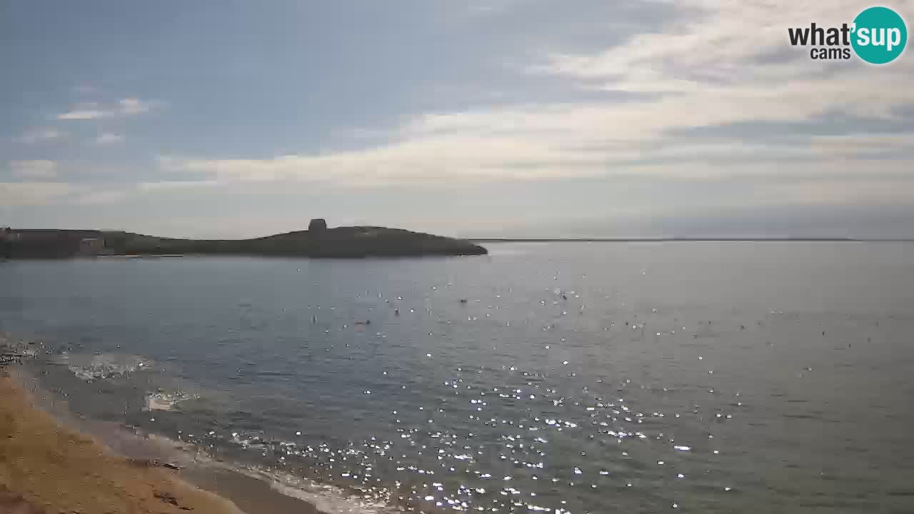 Sarchittu Webcam: Live Views of Stunning Beaches in Sardinia, Italy