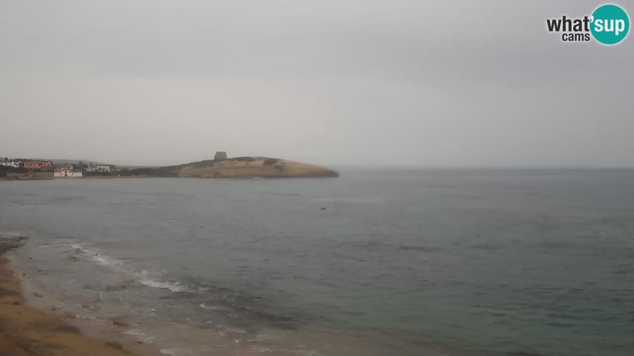 Webcam di Sarchittu: vista in tempo reale delle bellissime spiagge della Sardegna