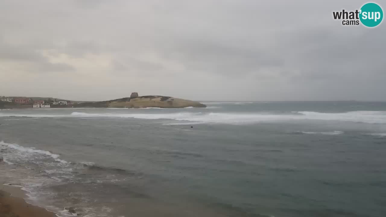 Camera en vivo Sarchittu: vistas en vivo de impresionantes playas en Cerdeña, Italia