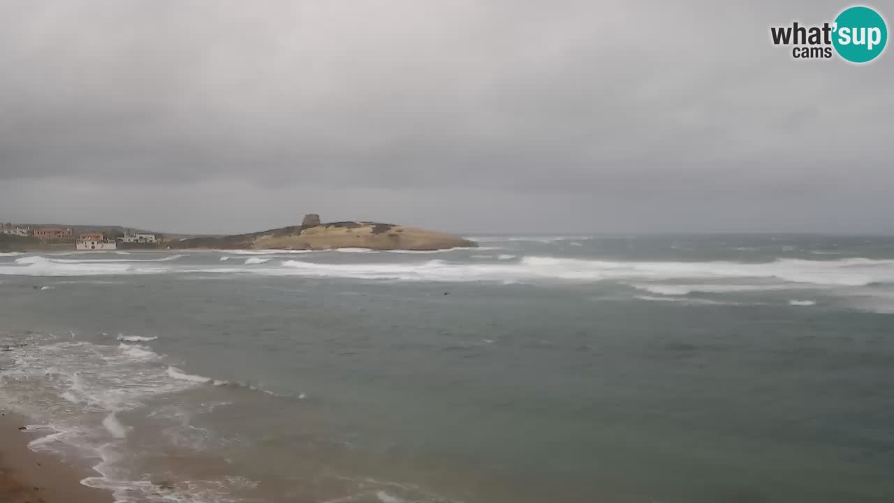 Webcam di Sarchittu: vista in tempo reale delle bellissime spiagge della Sardegna