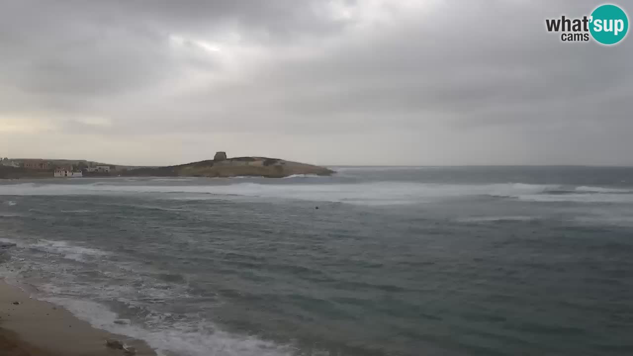 Sarchittu Web kamera: Pogled uživo na prekrasne plaže u Sardiniji, Italija