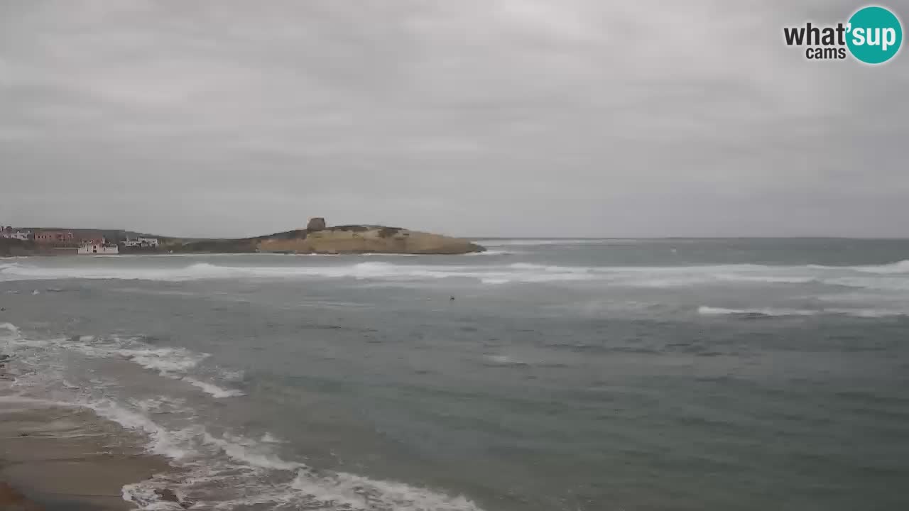 Webcam di Sarchittu: vista in tempo reale delle bellissime spiagge della Sardegna