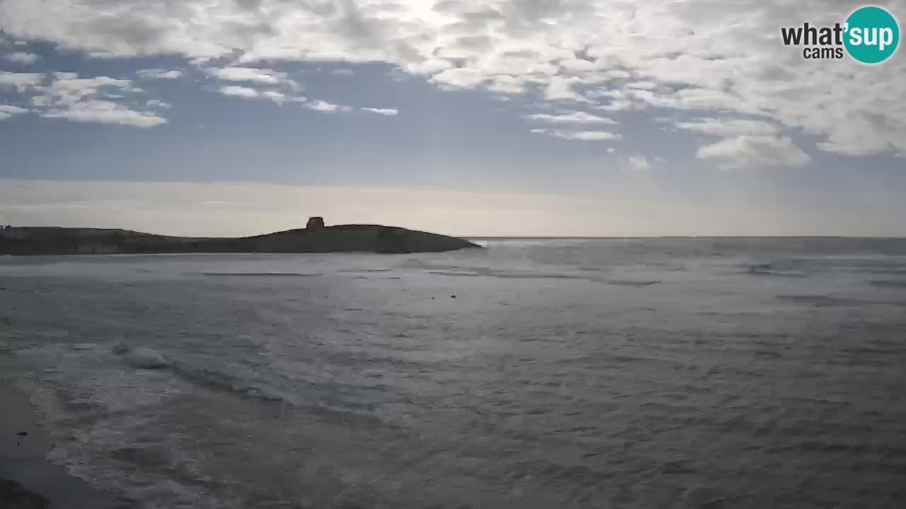 Webcam di Sarchittu: vista in tempo reale delle bellissime spiagge della Sardegna