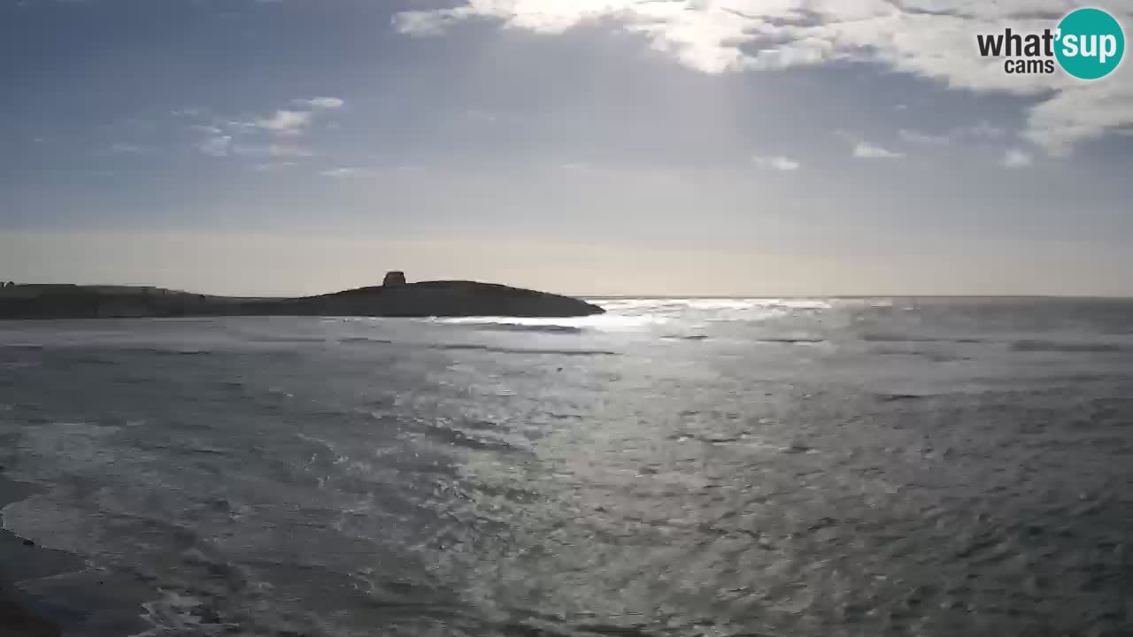 Sarchittu spletna kamera: Neposredni pogledi na osupljive plaže na Sardiniji, Italija