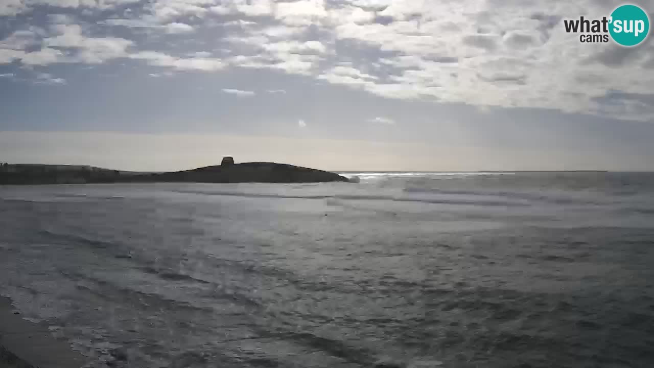 Sarchittu spletna kamera: Neposredni pogledi na osupljive plaže na Sardiniji, Italija