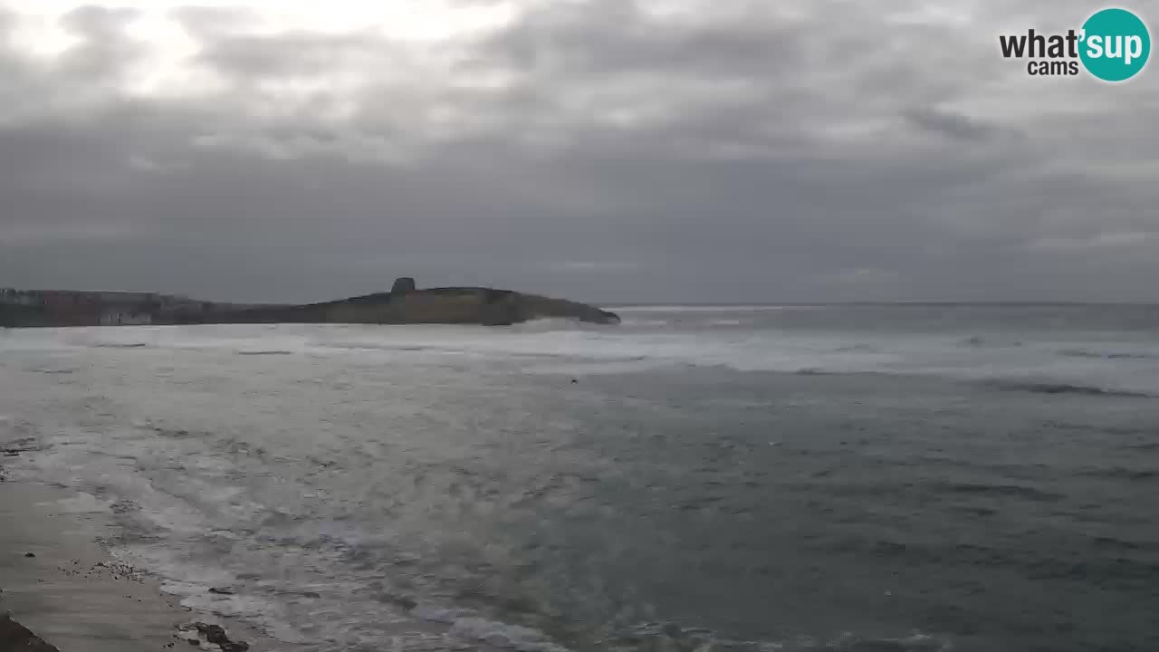 Webcam di Sarchittu: vista in tempo reale delle bellissime spiagge della Sardegna