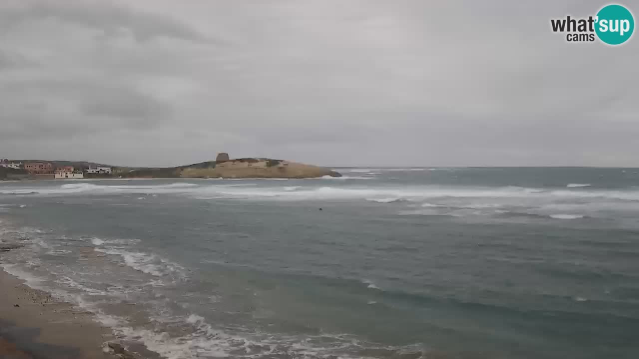 Webcam di Sarchittu: vista in tempo reale delle bellissime spiagge della Sardegna