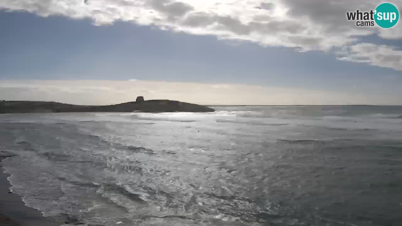 Webcam di Sarchittu: vista in tempo reale delle bellissime spiagge della Sardegna