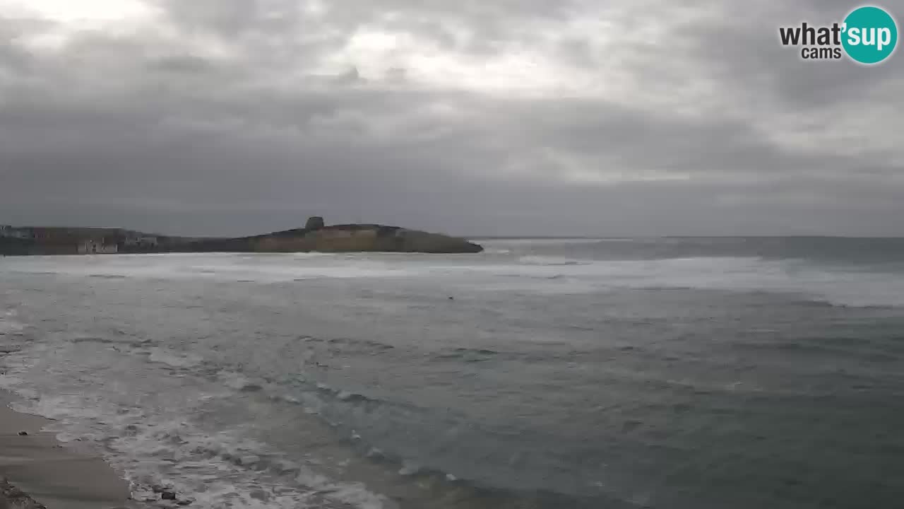 Webcam di Sarchittu: vista in tempo reale delle bellissime spiagge della Sardegna