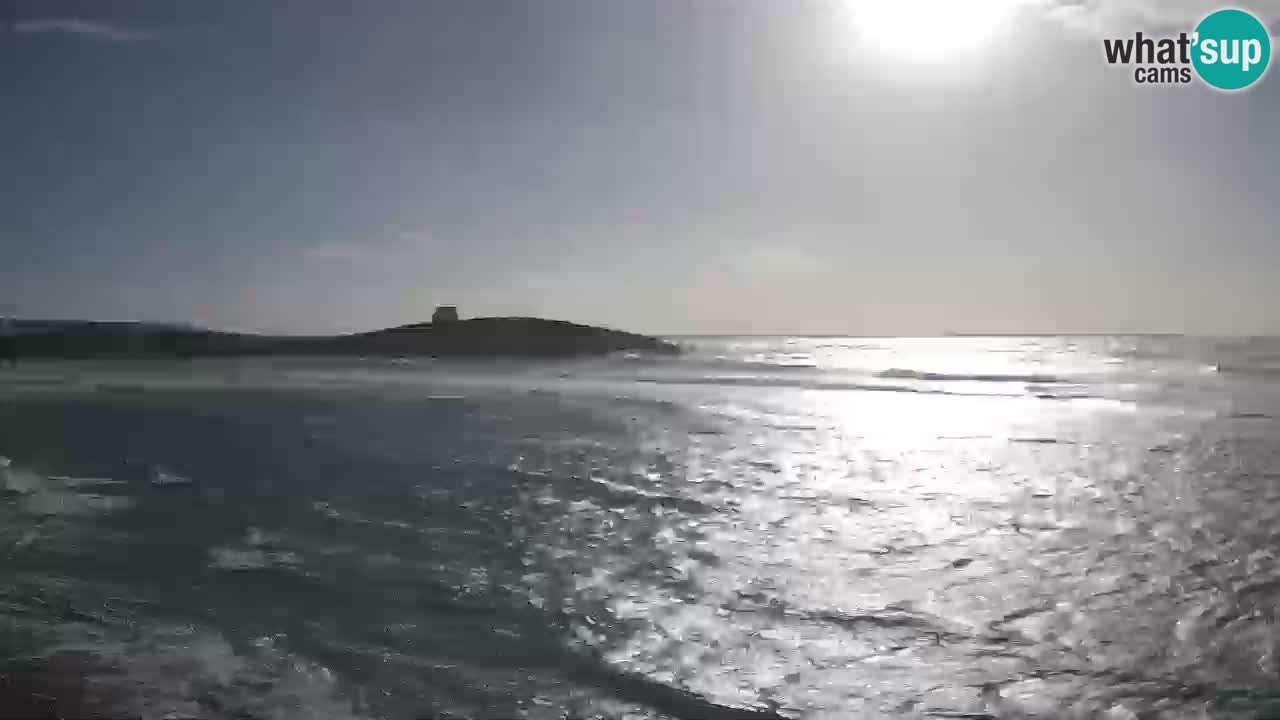 Sarchittu spletna kamera: Neposredni pogledi na osupljive plaže na Sardiniji, Italija