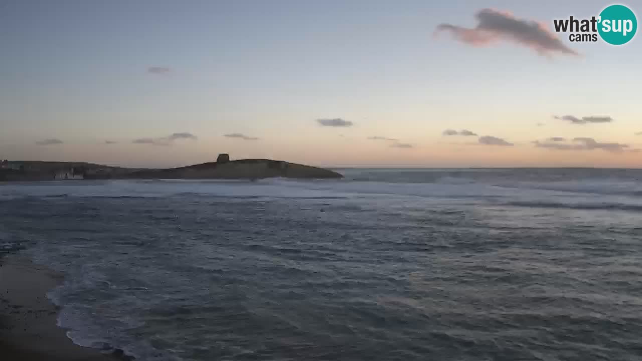 Webcam di Sarchittu: vista in tempo reale delle bellissime spiagge della Sardegna