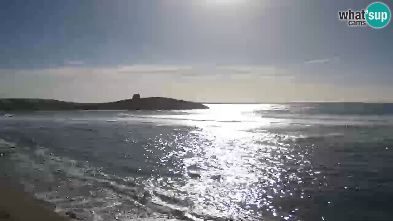 Webcam di Sarchittu: vista in tempo reale delle bellissime spiagge della Sardegna