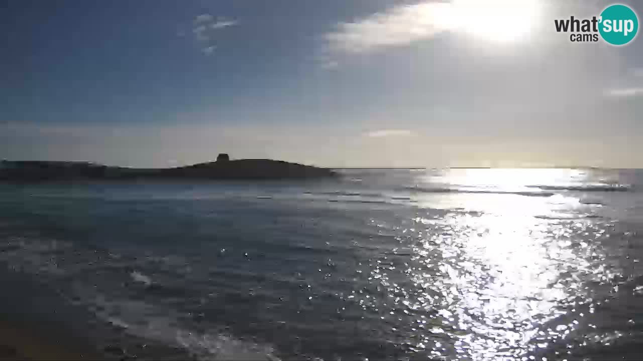 Sarchittu spletna kamera: Neposredni pogledi na osupljive plaže na Sardiniji, Italija