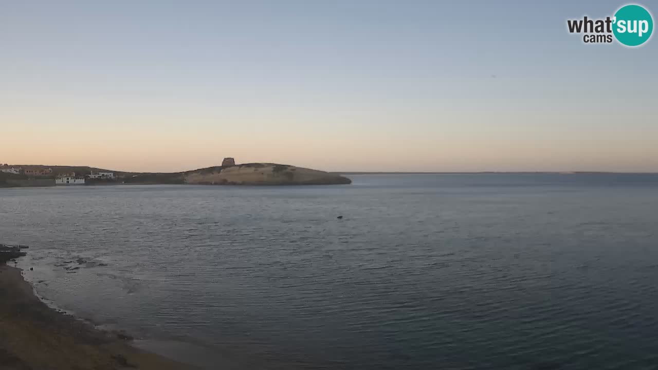 Webcam di Sarchittu: vista in tempo reale delle bellissime spiagge della Sardegna