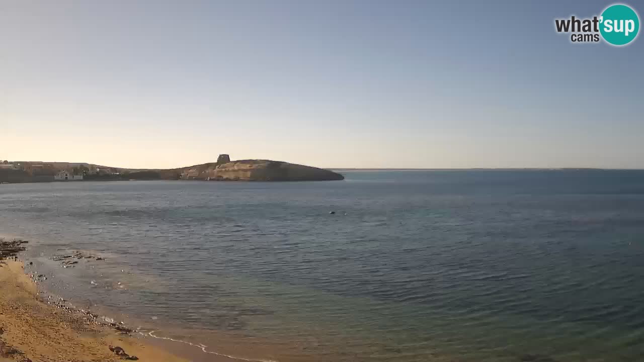 Webcam di Sarchittu: vista in tempo reale delle bellissime spiagge della Sardegna