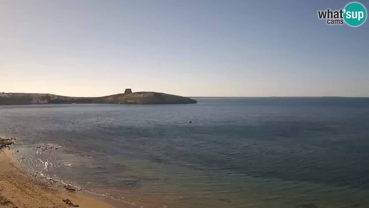 Sarchittu spletna kamera: Neposredni pogledi na osupljive plaže na Sardiniji, Italija