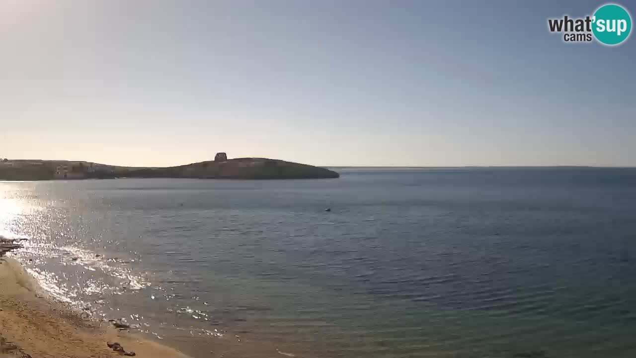 Webcam di Sarchittu: vista in tempo reale delle bellissime spiagge della Sardegna