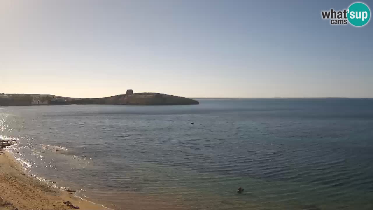 Webcam di Sarchittu: vista in tempo reale delle bellissime spiagge della Sardegna