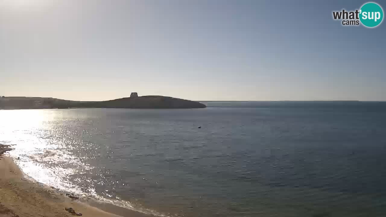 Sarchittu spletna kamera: Neposredni pogledi na osupljive plaže na Sardiniji, Italija