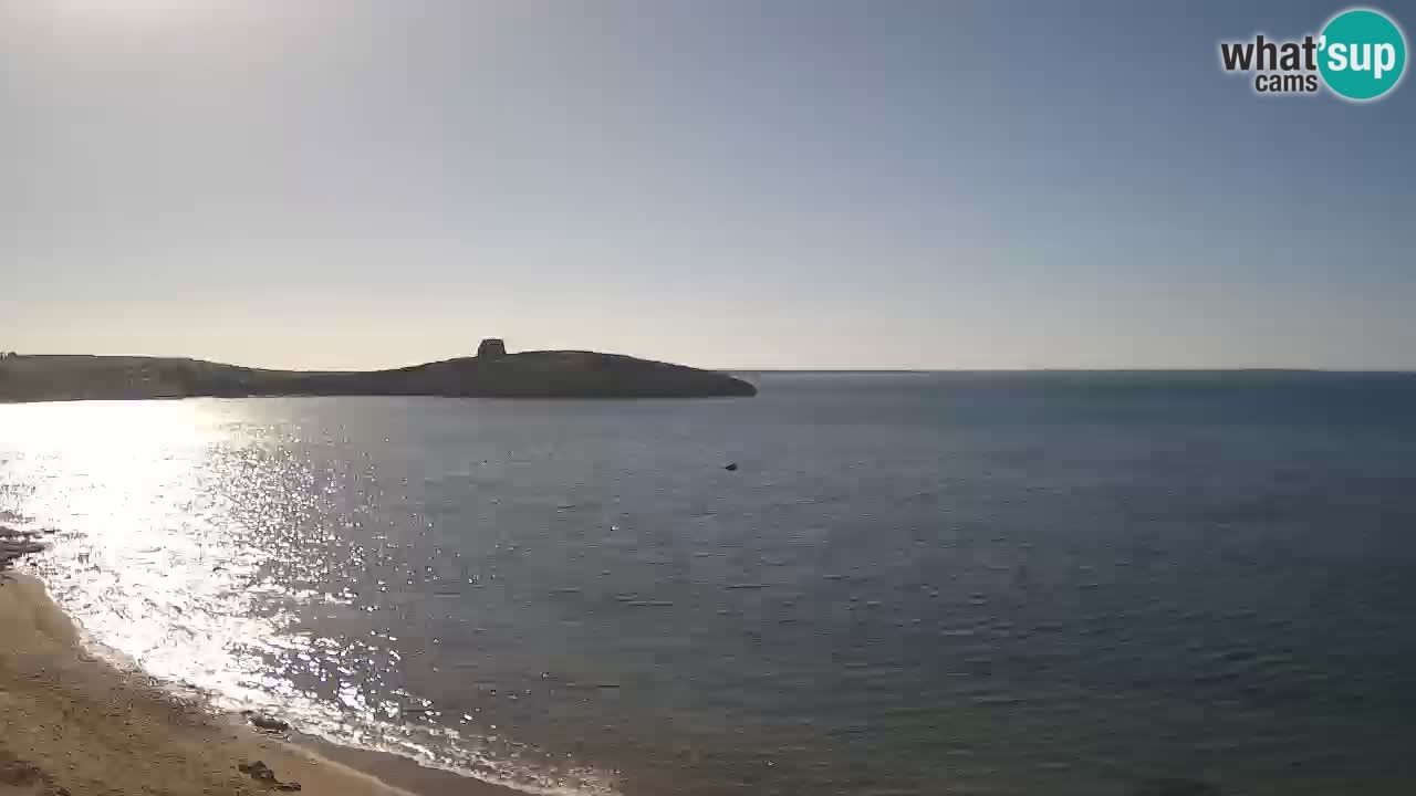 Sarchittu spletna kamera: Neposredni pogledi na osupljive plaže na Sardiniji, Italija