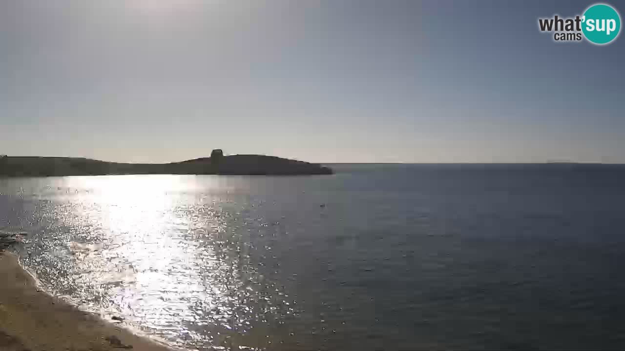 Webcam di Sarchittu: vista in tempo reale delle bellissime spiagge della Sardegna