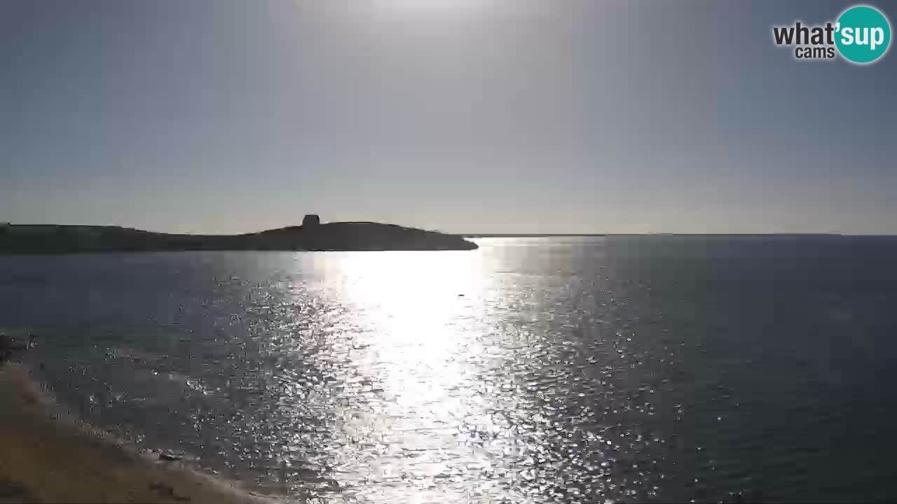 Sarchittu spletna kamera: Neposredni pogledi na osupljive plaže na Sardiniji, Italija