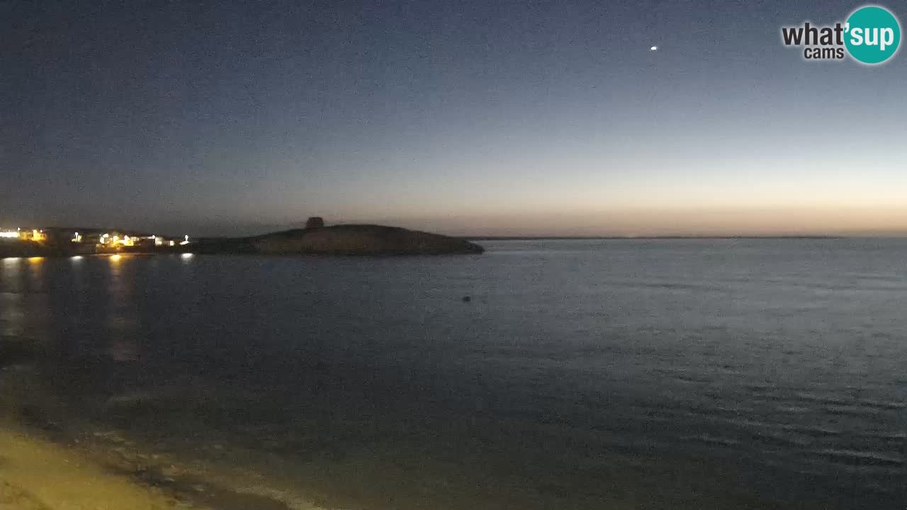 Webcam di Sarchittu: vista in tempo reale delle bellissime spiagge della Sardegna