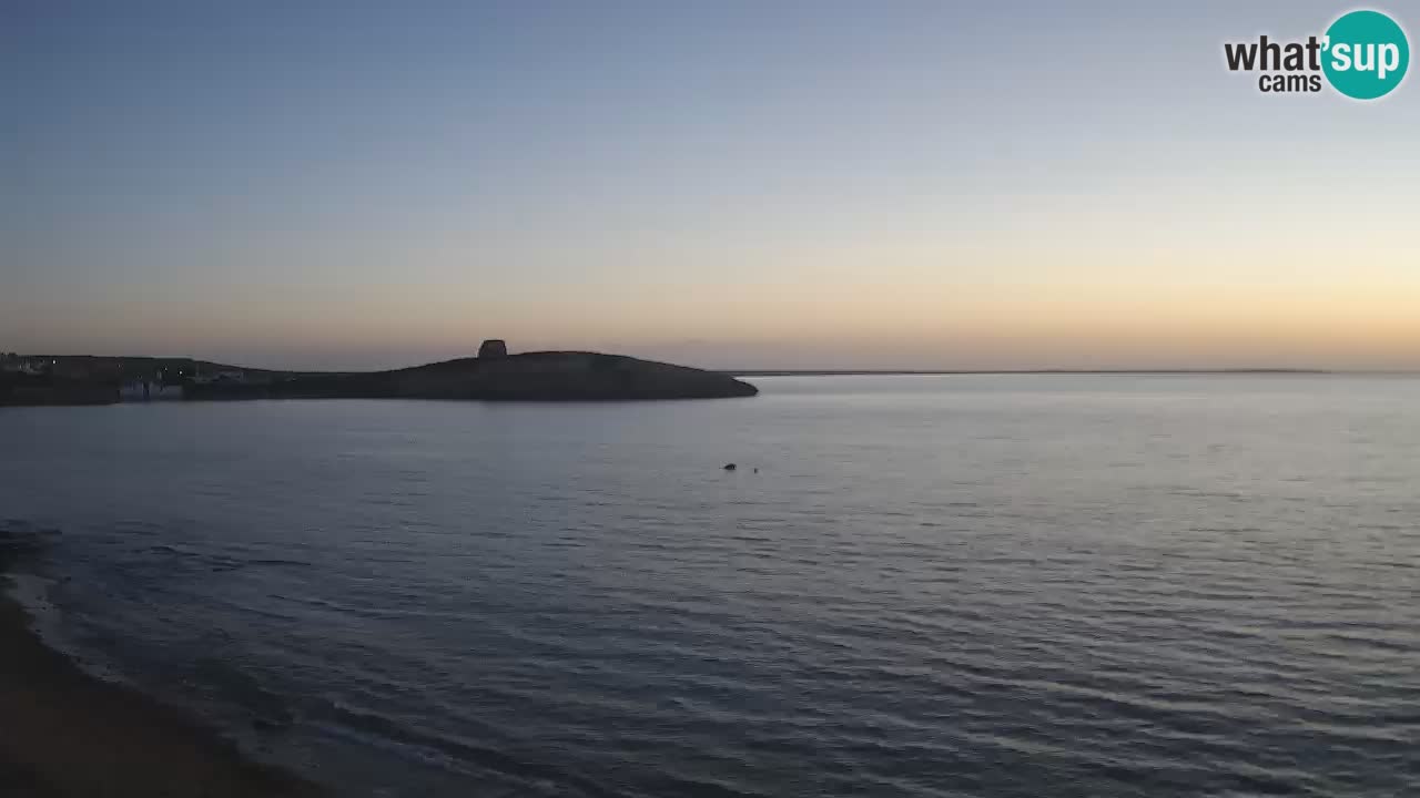 Sarchittu spletna kamera: Neposredni pogledi na osupljive plaže na Sardiniji, Italija