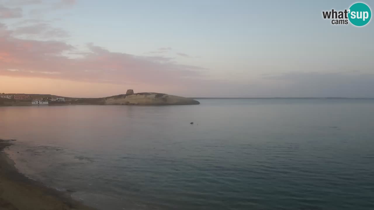 Webcam di Sarchittu: vista in tempo reale delle bellissime spiagge della Sardegna