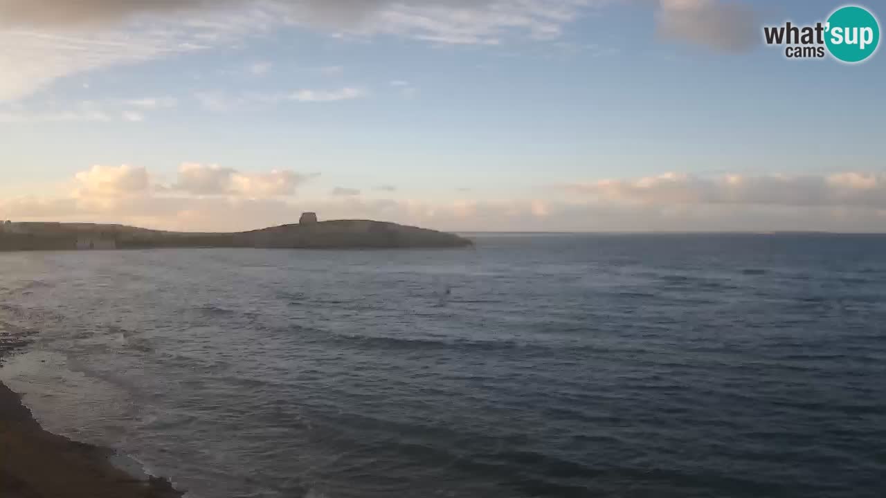 Webcam di Sarchittu: vista in tempo reale delle bellissime spiagge della Sardegna