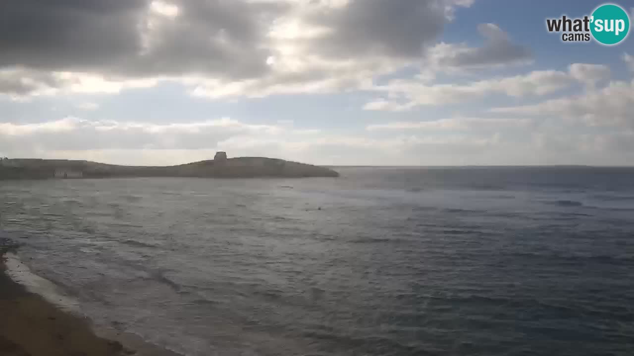 Sarchittu spletna kamera: Neposredni pogledi na osupljive plaže na Sardiniji, Italija