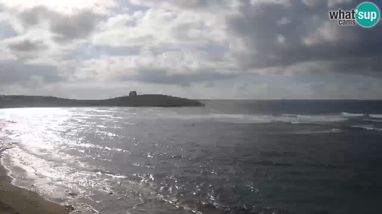 Webcam di Sarchittu: vista in tempo reale delle bellissime spiagge della Sardegna