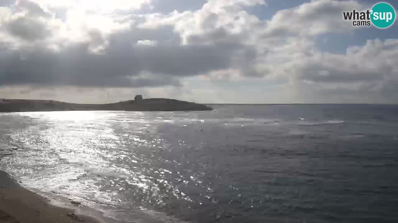 Sarchittu spletna kamera: Neposredni pogledi na osupljive plaže na Sardiniji, Italija