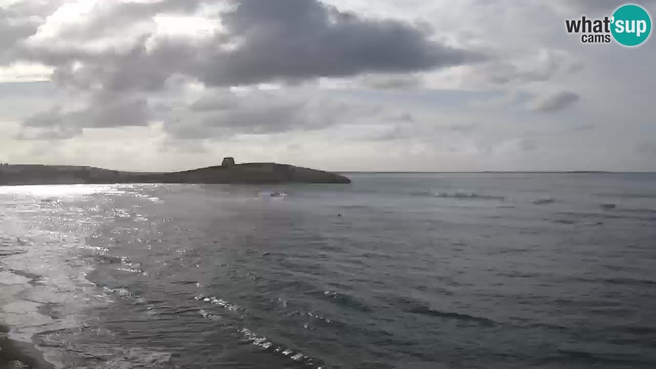 Webcam di Sarchittu: vista in tempo reale delle bellissime spiagge della Sardegna