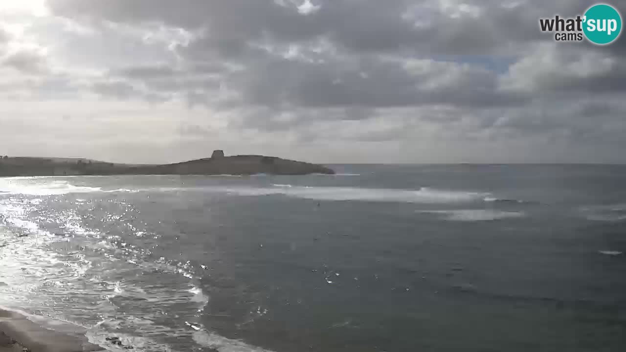 Sarchittu spletna kamera: Neposredni pogledi na osupljive plaže na Sardiniji, Italija