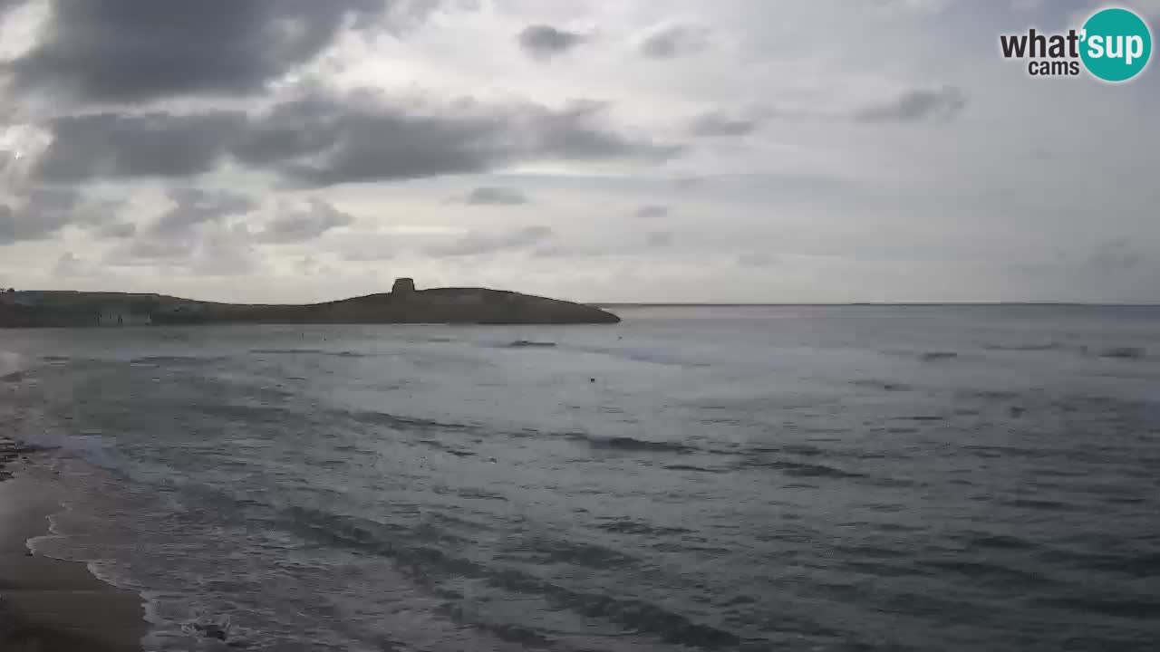 Sarchittu spletna kamera: Neposredni pogledi na osupljive plaže na Sardiniji, Italija