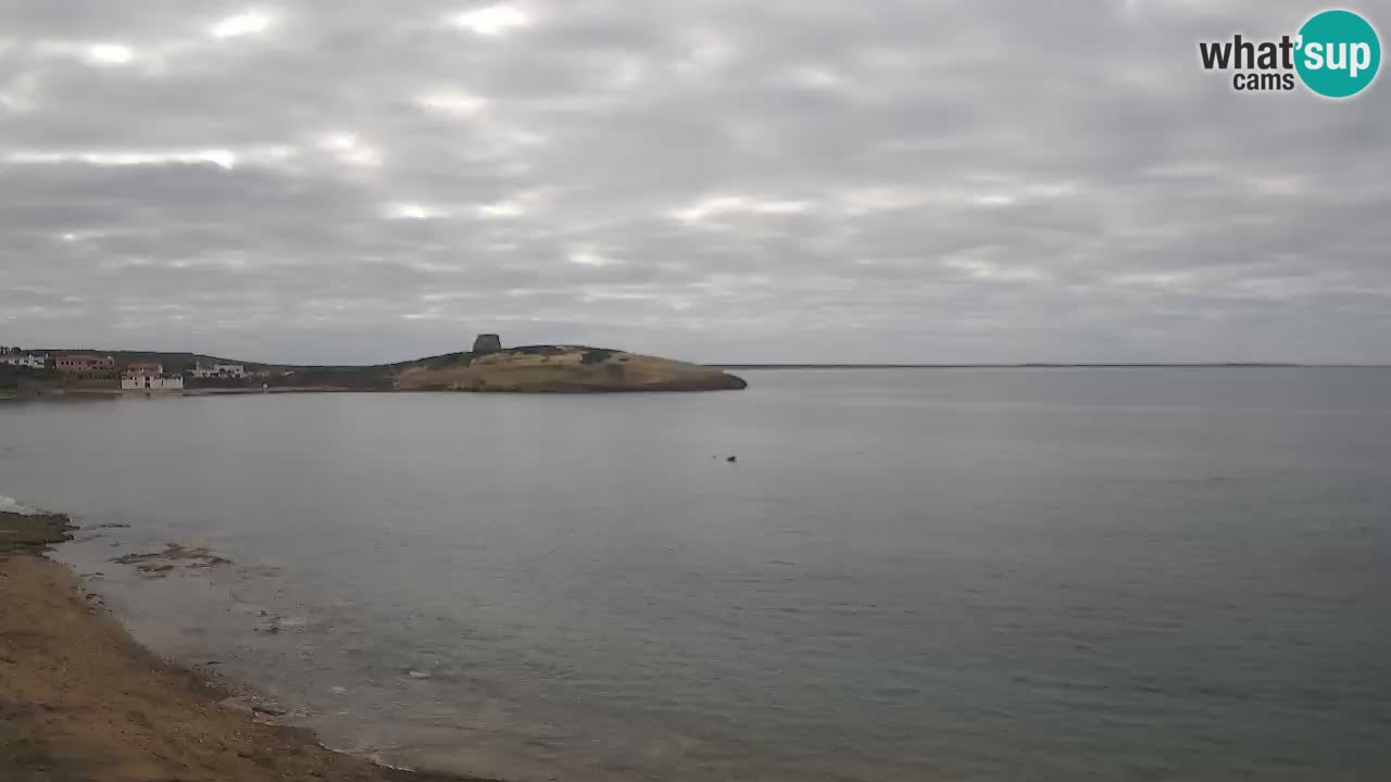 Webcam di Sarchittu: vista in tempo reale delle bellissime spiagge della Sardegna