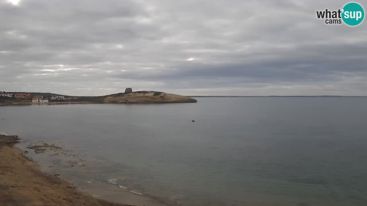 Webcam di Sarchittu: vista in tempo reale delle bellissime spiagge della Sardegna